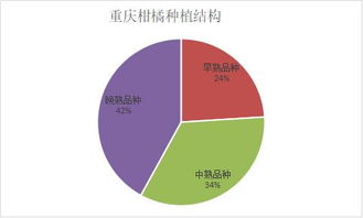 柑橘市場調研 重慶柑橘的輝煌歷史、效益困境與崛起之路